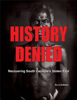 Recovering South Carolina's Stolen Past