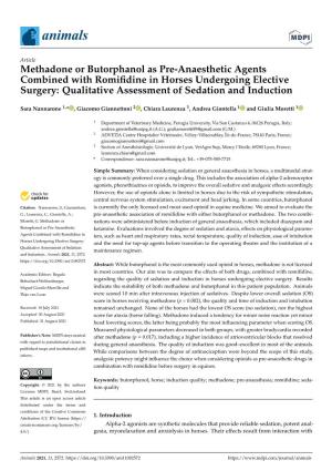 Methadone Or Butorphanol As Pre-Anaesthetic Agents Combined with Romiﬁdine in Horses Undergoing Elective Surgery: Qualitative Assessment of Sedation and Induction