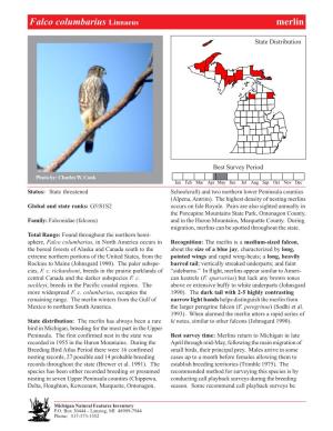 Falco Columbarius Linnaeus Merlin,Merlin Page 1