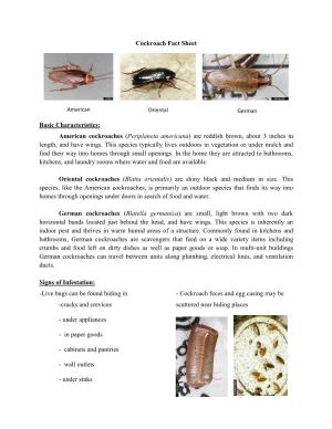 Cockroach Fact Sheet Basic Characteristics