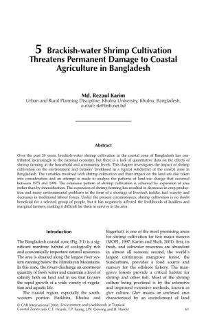 5 Brackish-Water Shrimp Cultivation Threatens Permanent Damage to Coastal Agriculture in Bangladesh