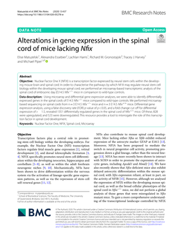 Alterations in Gene Expression in the Spinal Cord of Mice Lacking Nfix