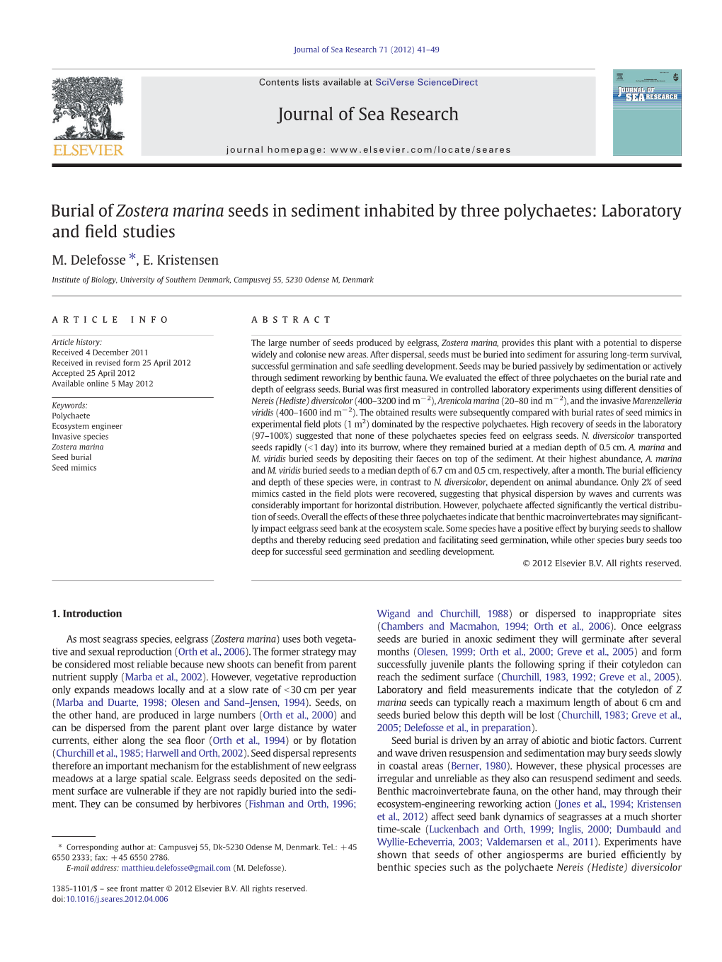 Burial of Zostera Marina Seeds in Sediment Inhabited by Three Polychaetes: Laboratory and ﬁeld Studies