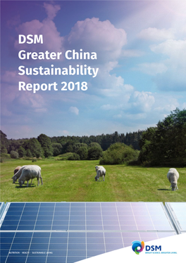 DSM Greater China Sustainability Report 2018 DSM Greater China Sustainability Report 2018 DSM at a Glance