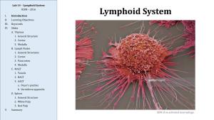 Lymphoid System IUSM – 2016
