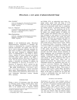 Rhizochaete, a New Genus of Phanerochaetoid Fungi