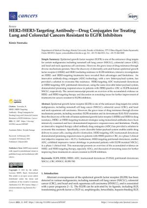 HER2-/HER3-Targeting Antibody—Drug Conjugates for Treating Lung and Colorectal Cancers Resistant to EGFR Inhibitors