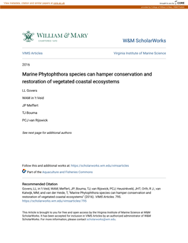 Marine Phytophthora Species Can Hamper Conservation and Restoration of Vegetated Coastal Ecosystems