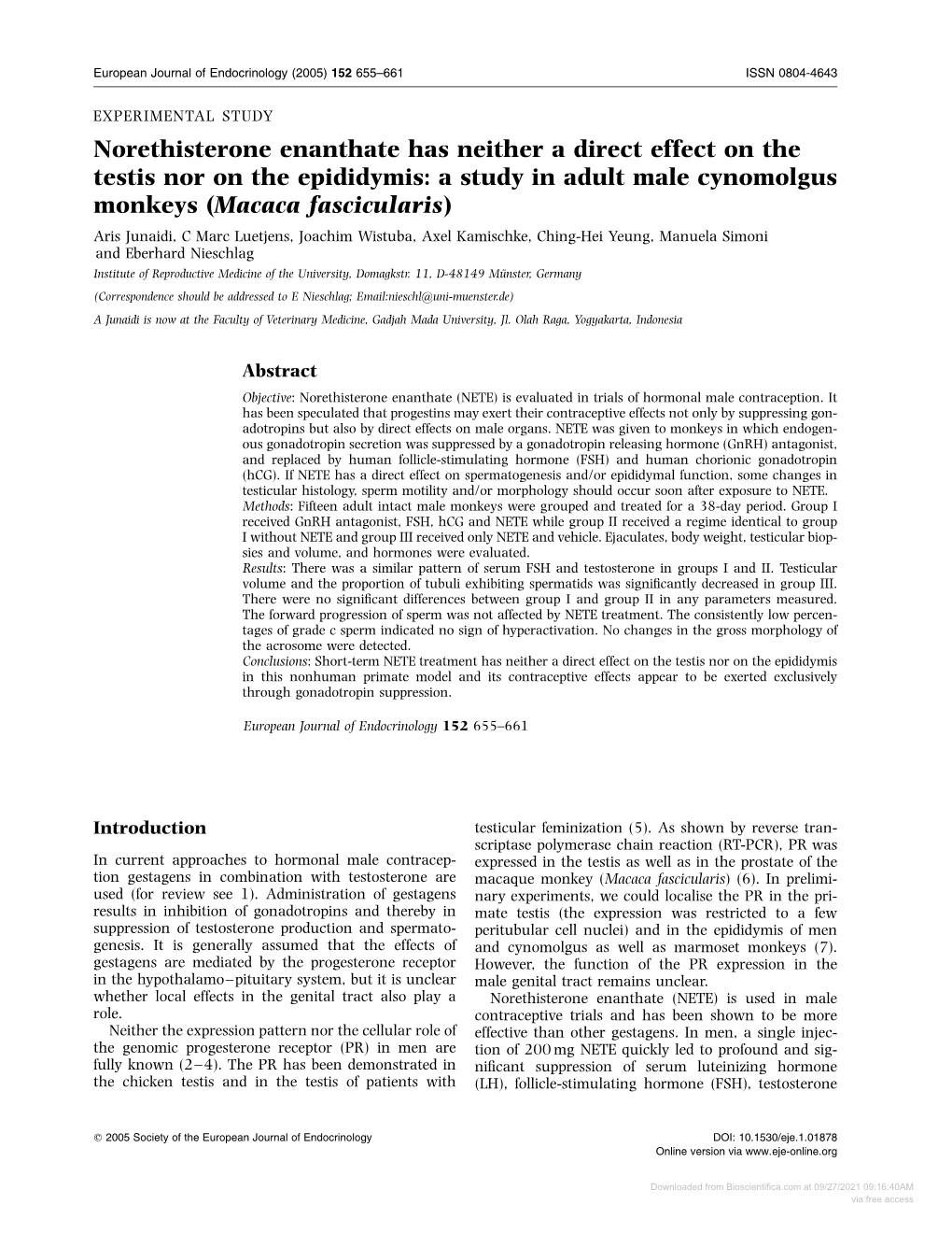 Norethisterone Enanthate Has Neither a Direct Effect on the Testis Nor On