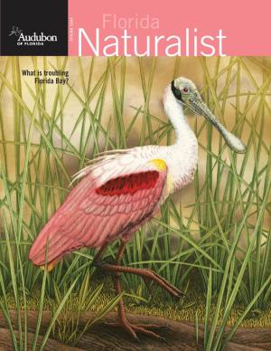 Audubon Florida Naturalist Magazine Spring 2008