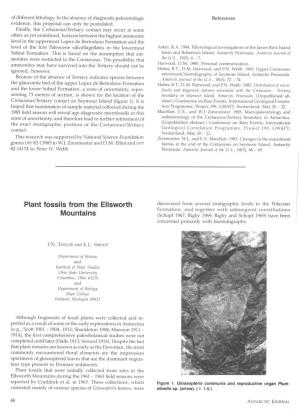 Plant Fossils from the Ellsworth Mountains