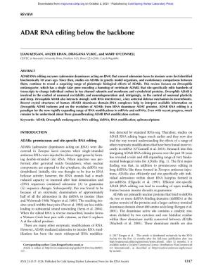 ADAR RNA Editing Below the Backbone