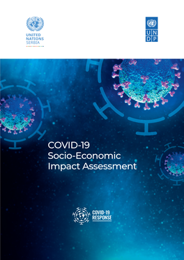 COVID-19 Socio-Economic Impact Assessment