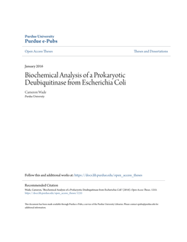 Biochemical Analysis of a Prokaryotic Deubiquitinase from Escherichia Coli Cameron Wade Purdue University