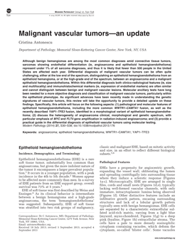 Malignant Vascular Tumors&Mdash