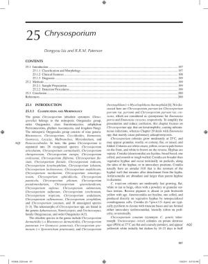 25 Chrysosporium