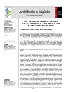 Study on Biometric Growth Parameters in Different Fish Species of Family