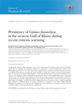 Persistence of Calanus Finmarchicus in the Western Gulf of Maine During