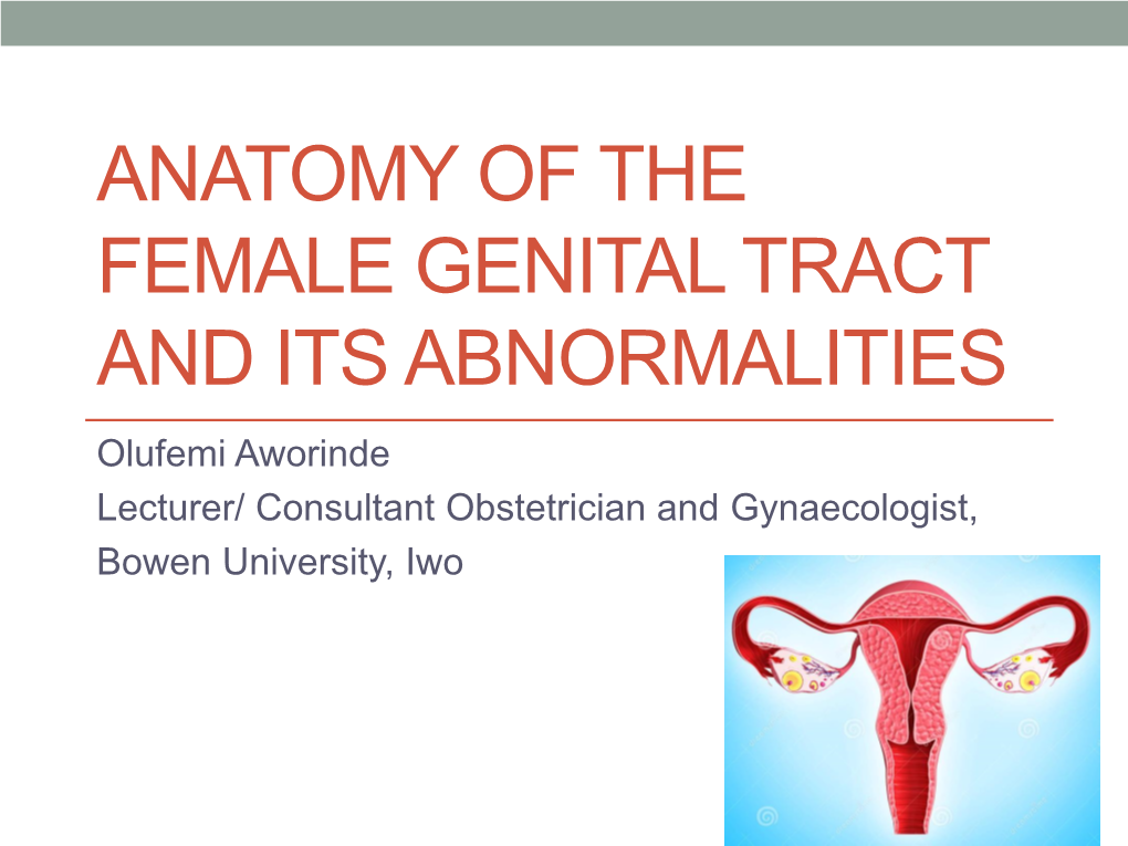 Anatomy of the Female Genital Tract and Its