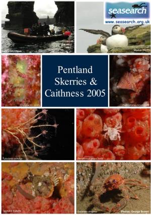 Caithness and Pentland Skerries 2005
