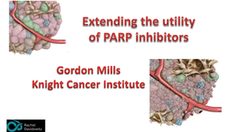 Rational Drug Combinations with PARP Inhibitors