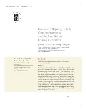 Inside a Collapsing Bubble: Sonoluminescence and the Conditions During Cavitation