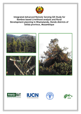 Integrated Advanced Remote Sensing GIS Study for Bamboo Based Livelihood Analysis and Rural Development Planning in Nhamatanda