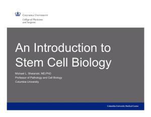 An Introduction to Stem Cell Biology