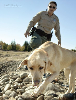 Rescued Dogs Help Game Wardens in the War Against Wildlife Criminals