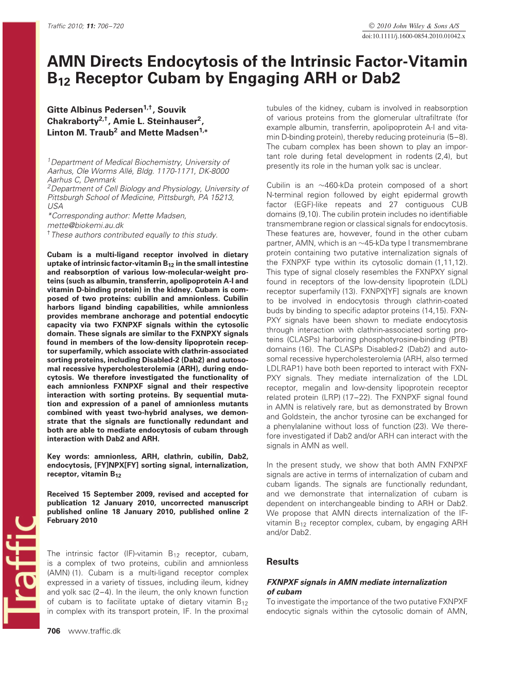 AMN Directs Endocytosis of the Intrinsic Factor‐Vitamin B12