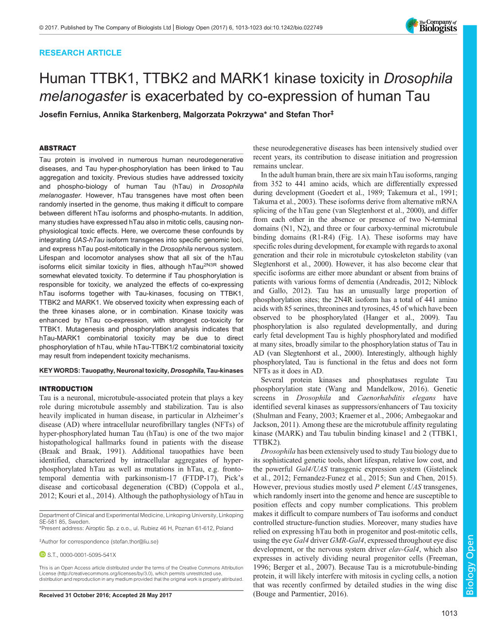 Human TTBK1, TTBK2 and MARK1 Kinase Toxicity in Drosophila