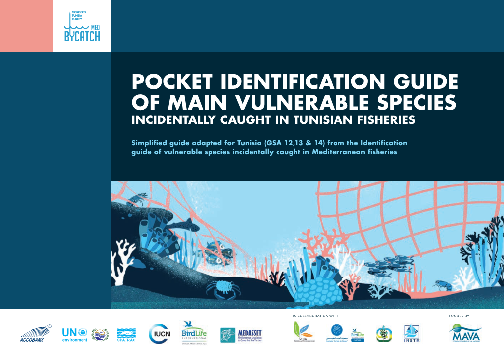 Pocket Identification Guide of Main Vulnerable Species Incidentally Caught in Tunisian Fisheries