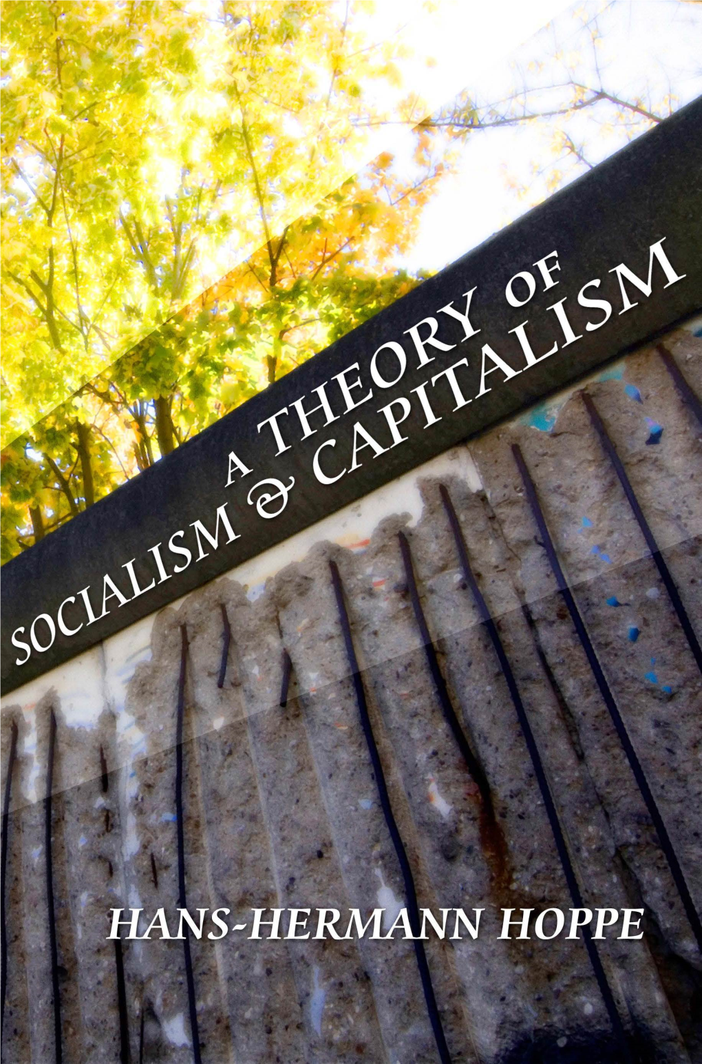 A Theory of Socialism and Capitalism