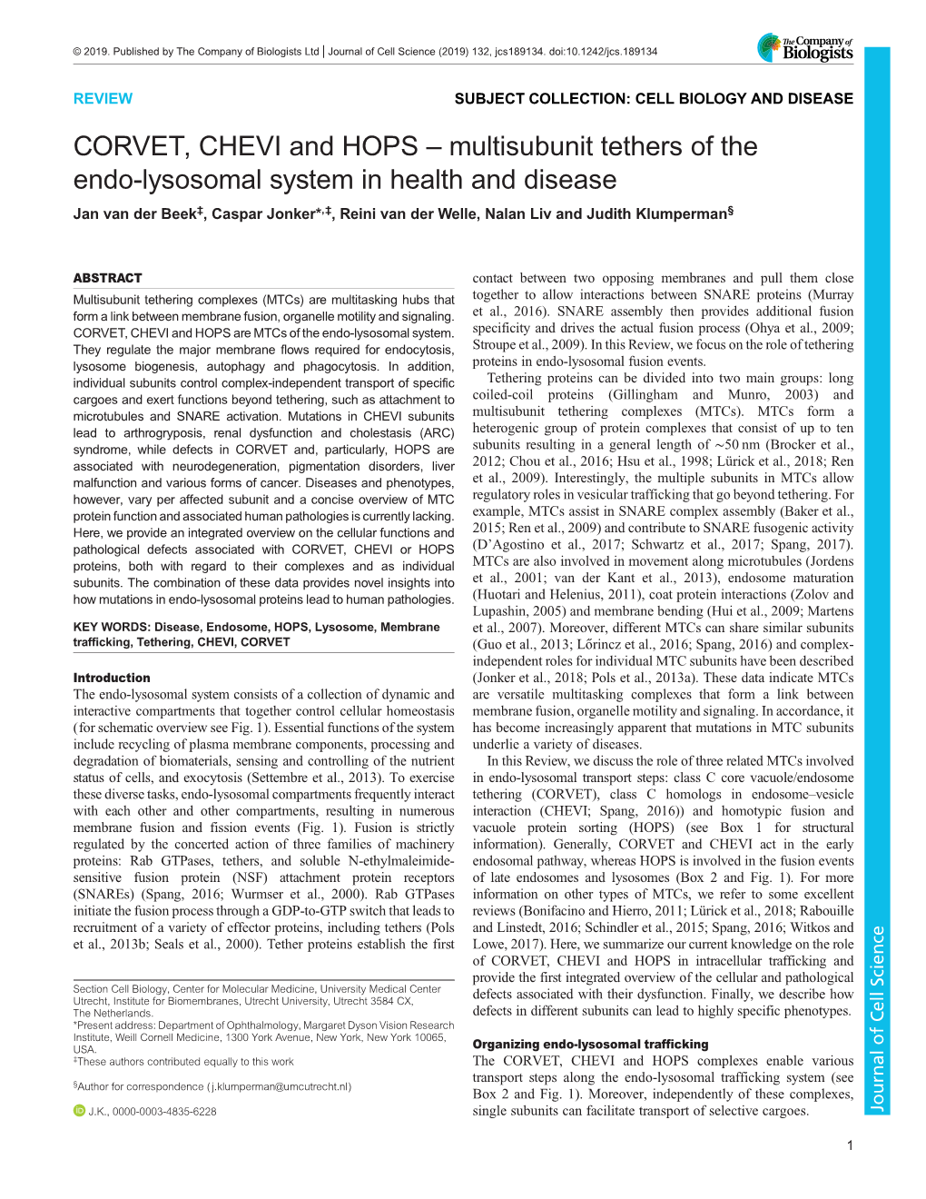 CORVET, CHEVI and HOPS – Multisubunit Tethers of the Endo