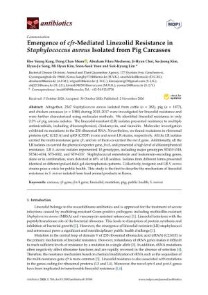 Emergence of Cfr-Mediated Linezolid Resistance in Staphylococcus Aureus Isolated from Pig Carcasses