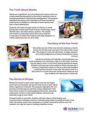 The Truth About Sharks the Story of the Sea Turtle the World of Whales