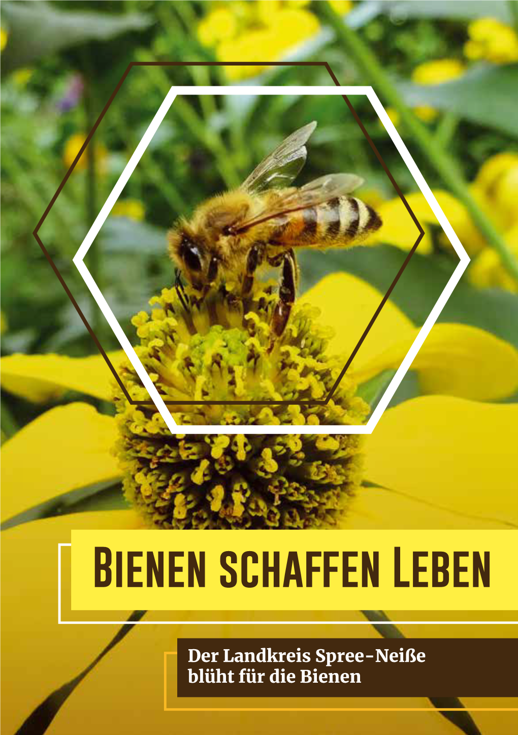 Bienen Schaffen Leben