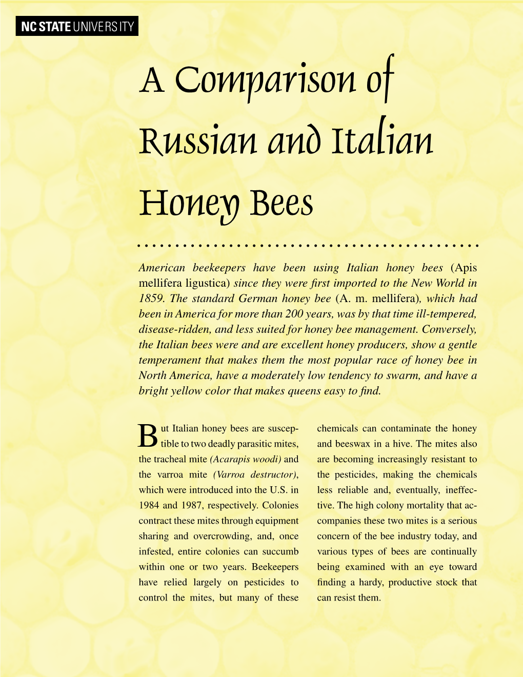 A Comparison of Russian and Italian Honey Bees