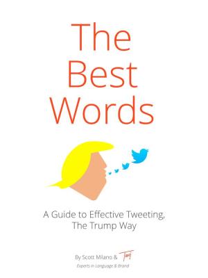 A Guide to Effective Tweeting, the Trump Way