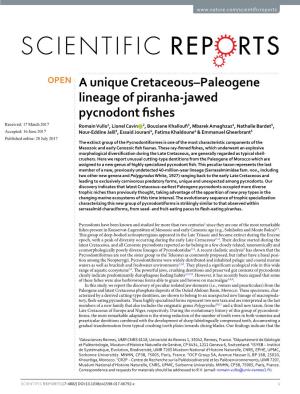 A Unique Cretaceous–Paleogene Lineage of Piranha-Jawed