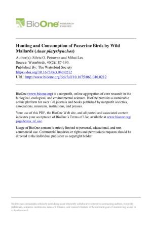 Hunting and Consumption of Passerine Birds by Wild Mallards (Anas Platyrhynchos) Author(S): Silviu O