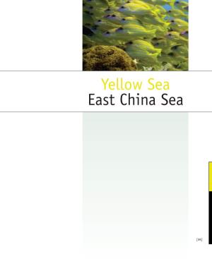 Yellow Sea East China Sea