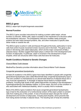 BSCL2 Gene BSCL2, Seipin Lipid Droplet Biogenesis Associated