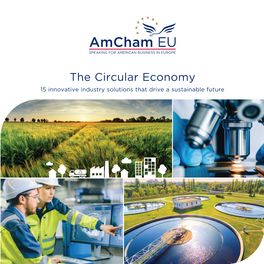 The Circular Economy 15 Innovative Industry Solutions That Drive a Sustainable Future the Circular Economy Amcham EU Table of Contents
