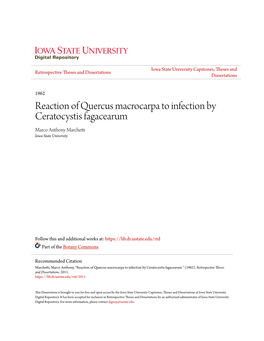 Reaction of Quercus Macrocarpa to Infection by Ceratocystis Fagacearum Marco Anthony Marchetti Iowa State University