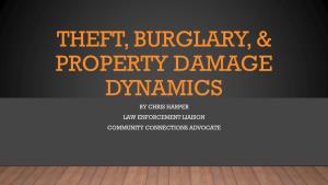 Theft, Burglary, & Property Damage Dynamics