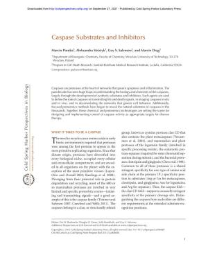 Caspase Substrates and Inhibitors