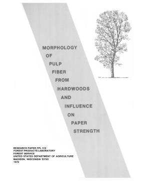 Morphology of Pulp Fiber from Hardwoods and Influence on Paper Strength