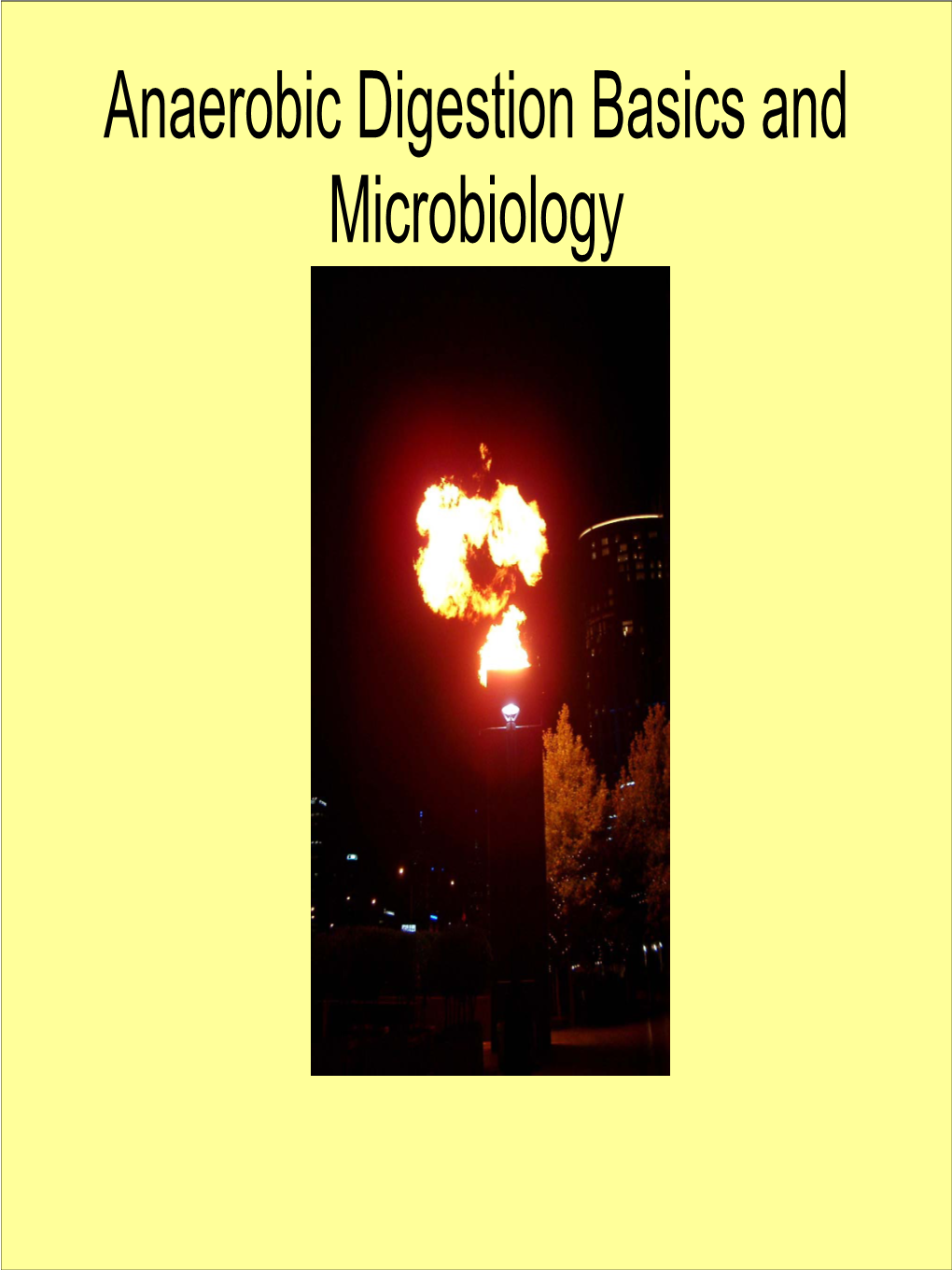 Anaerobic Digestion Microbiology Biofilm Basics