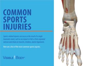 Sports-Related Injuries Can Occur As the Result of a Single Traumatic Event, Such As an Impact Or Fall, Or from Repeated Overuse